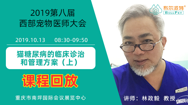 猫糖尿病的临床诊治和管理方案