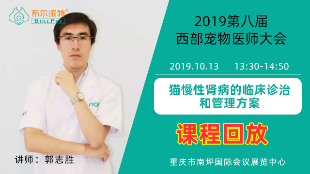 猫慢性肾病的临床诊治和管理方案