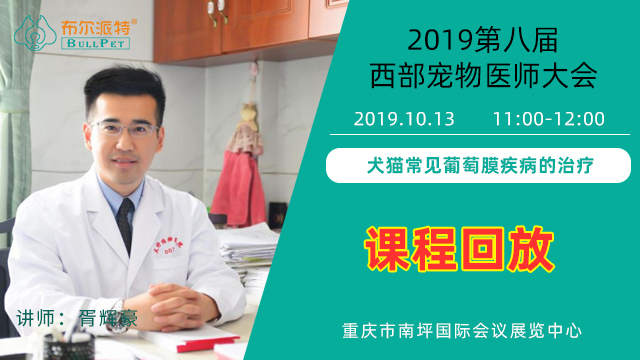 犬猫常见葡萄膜疾病的诊治