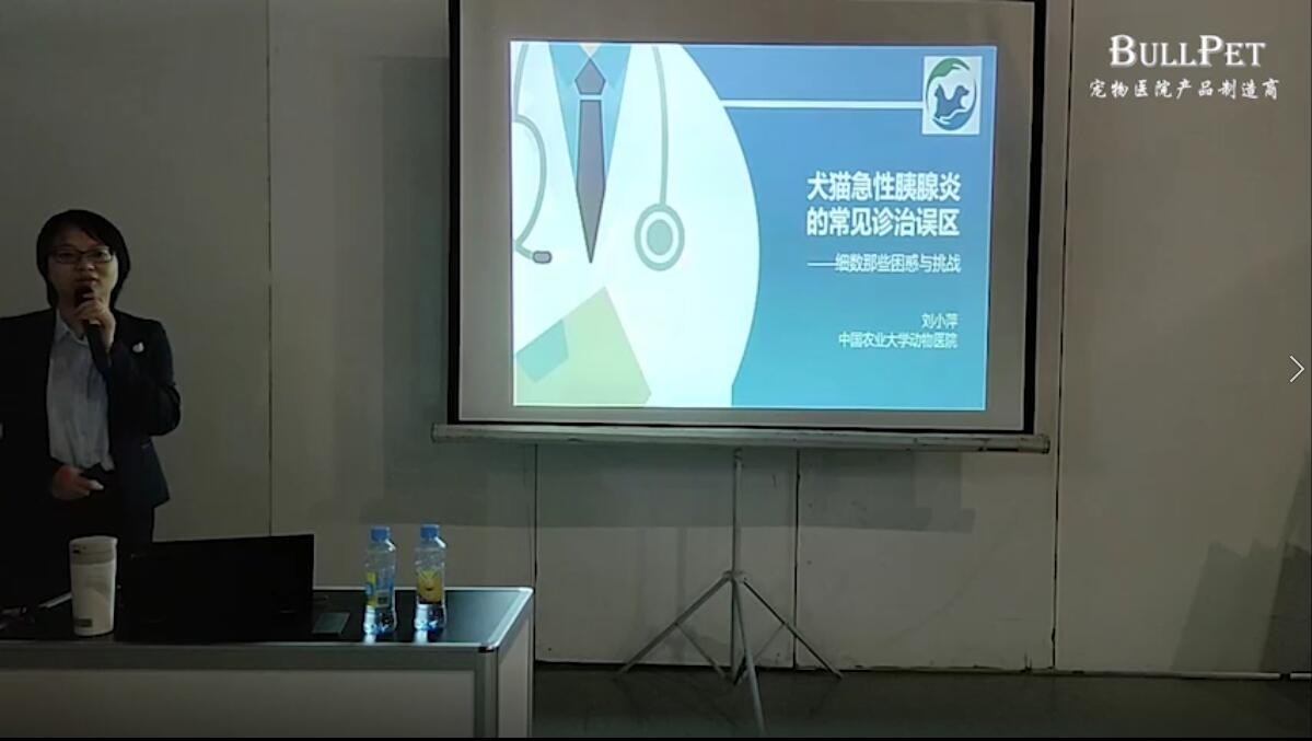 大猫急性胰腺炎的常见诊治误区
