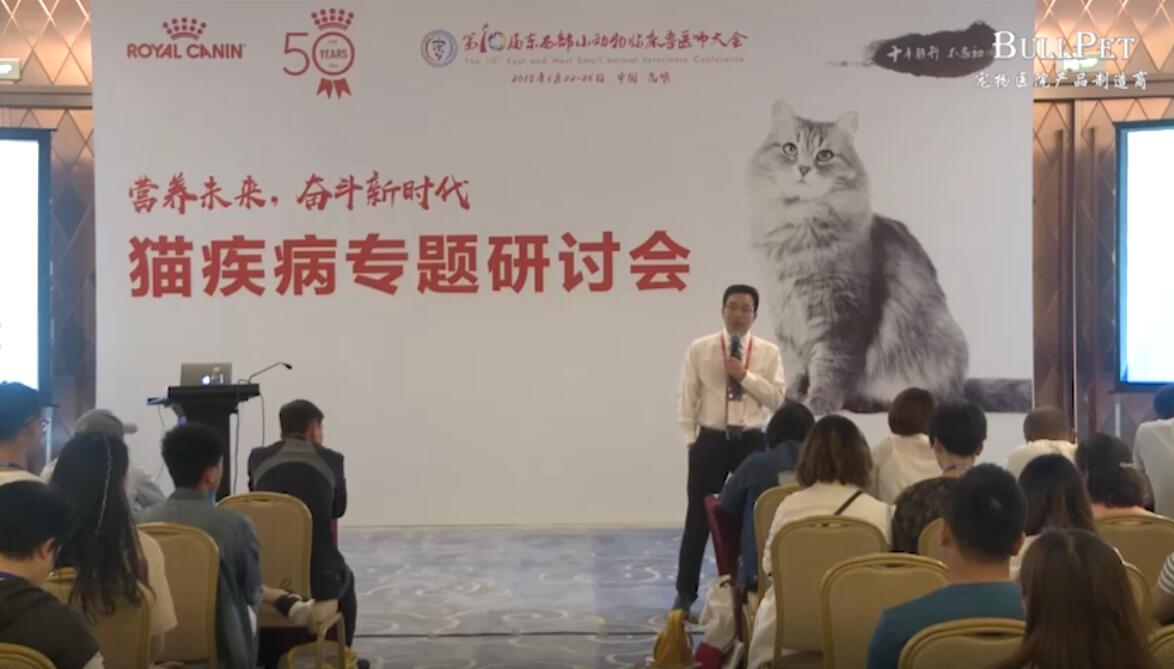 猫糖尿病诊治新知（上）