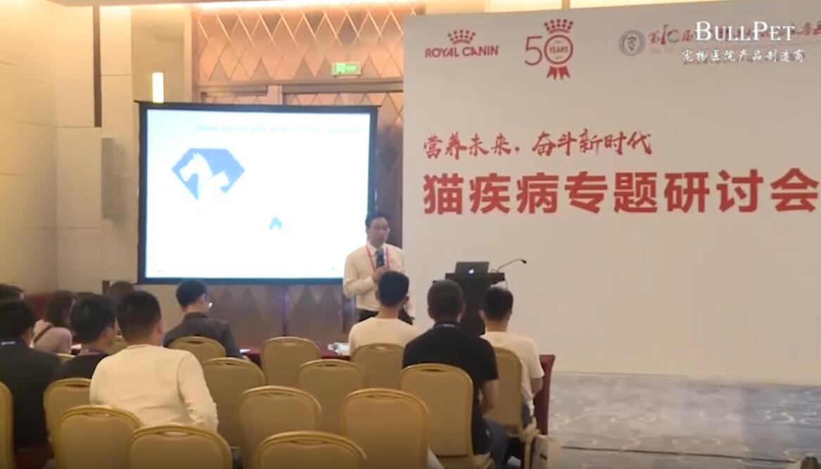 猫糖尿病诊治新知（下）