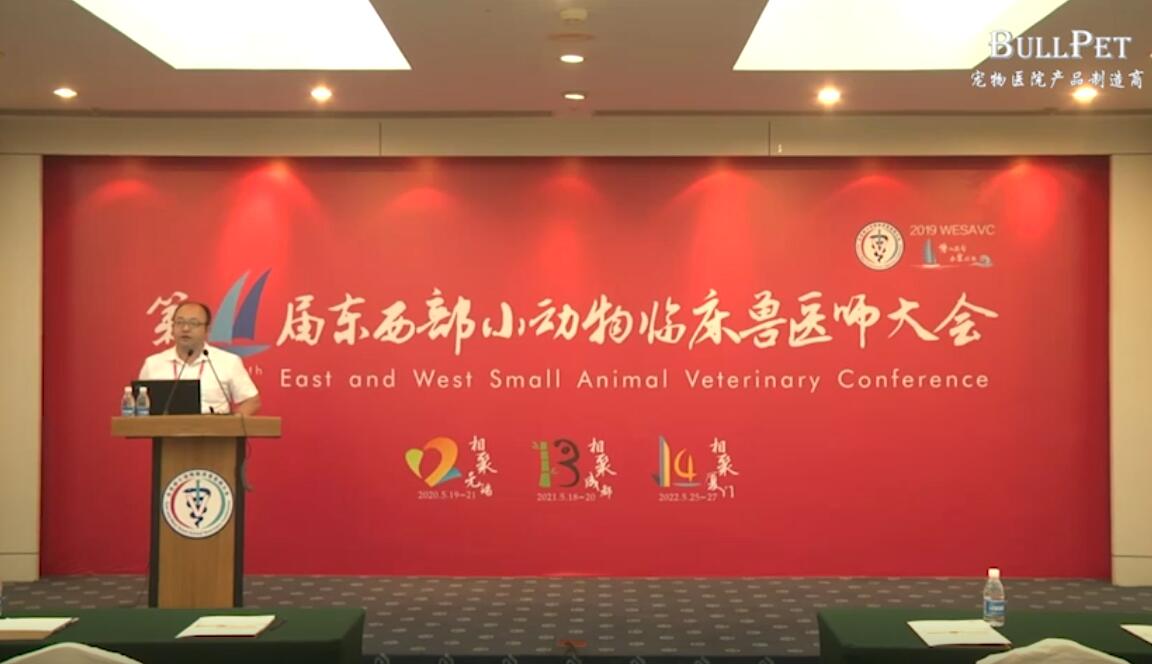 宠物核磁头部影像判读