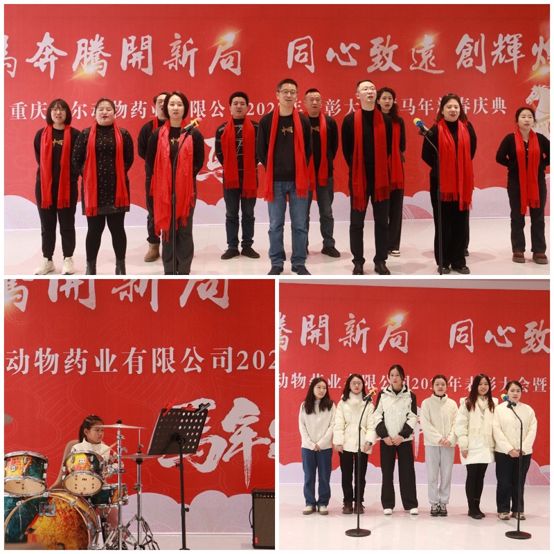 文艺表演.jpg
